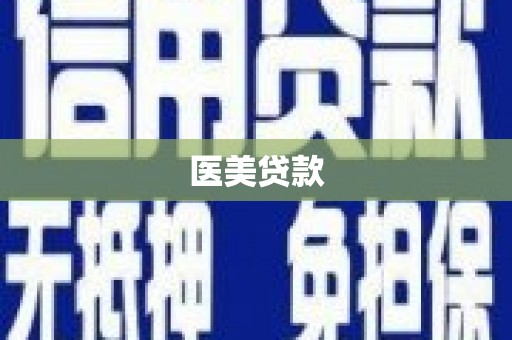 郧西医美贷款