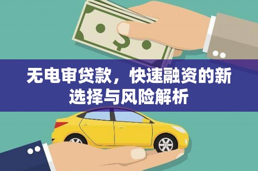 武冈无电审贷款，快速融资的新选择与风险解析