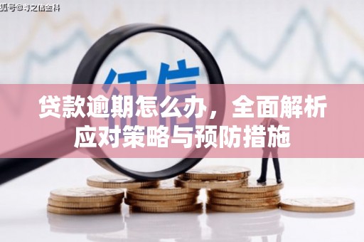 施甸贷款逾期怎么办，全面解析应对策略与预防措施
