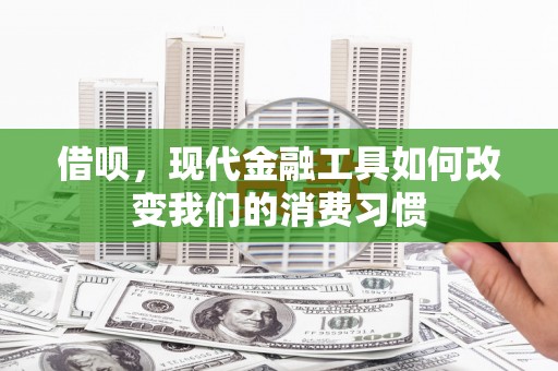 娄星借呗，现代金融工具如何改变我们的消费习惯