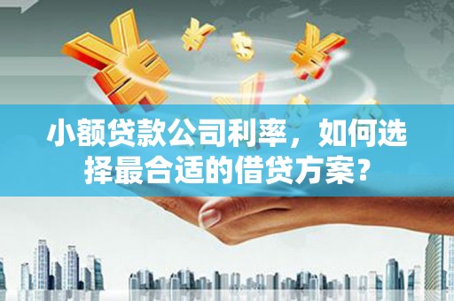 南开小额贷款公司利率，如何选择最合适的借贷方案？