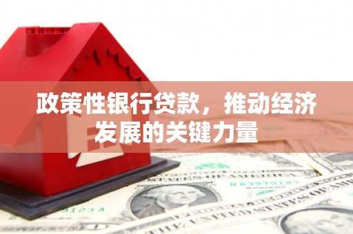 铅山政策性银行贷款，推动经济发展的关键力量