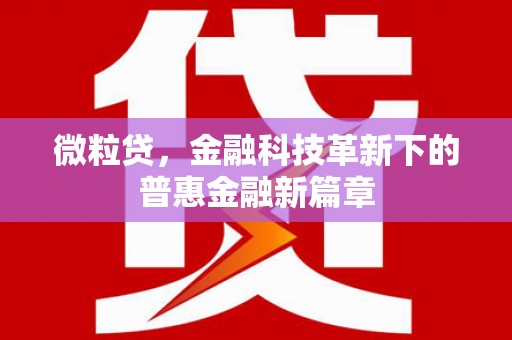 卓溪微粒贷，金融科技革新下的普惠金融新篇章