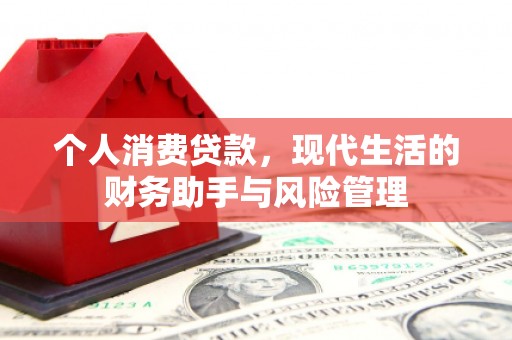 延川个人消费贷款，现代生活的财务助手与风险管理