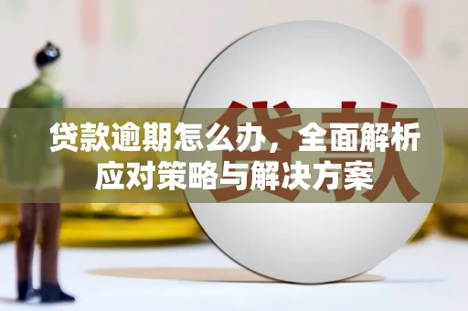 海端贷款逾期怎么办，全面解析应对策略与解决方案