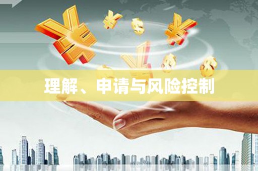 洛扎理解、申请与风险控制