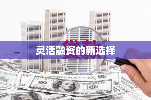 任县灵活融资的新选择