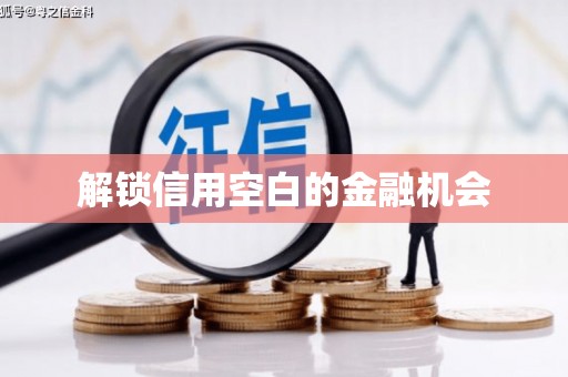 遂宁解锁信用空白的金融机会