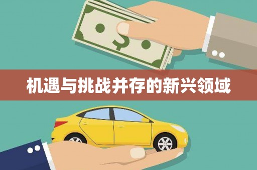 五河机遇与挑战并存的新兴领域