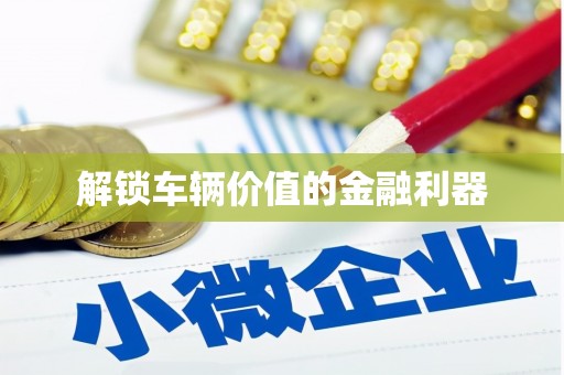 玛曲解锁车辆价值的金融利器