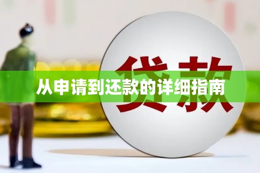 玛曲从申请到还款的详细指南