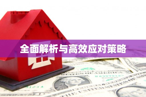 宁波全面解析与高效应对策略