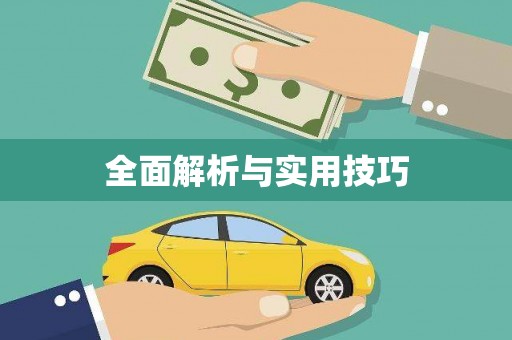 望城全面解析与实用技巧