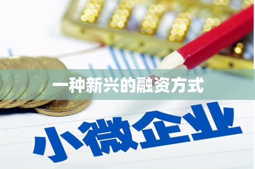 滦南一种新兴的融资方式