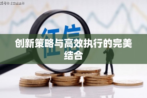 南宫创新策略与高效执行的完美结合