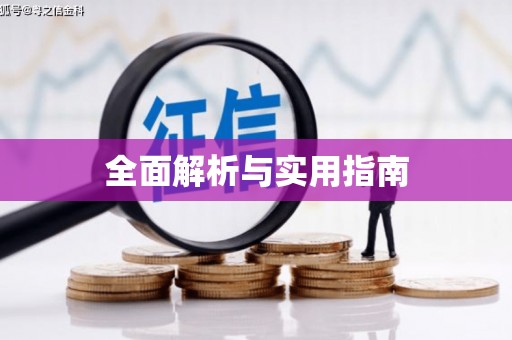 湖内全面解析与实用指南
